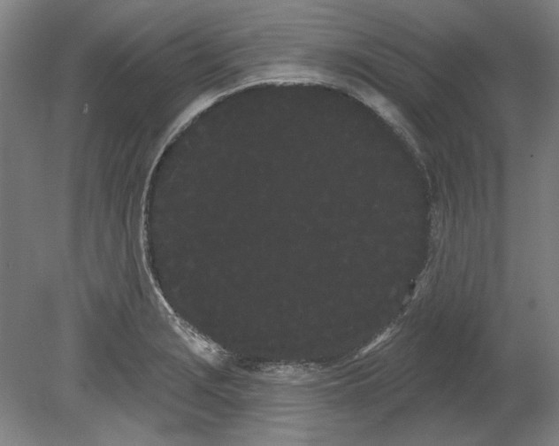 X0000080671229200701051000