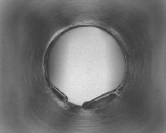 X0000080671230200701051000