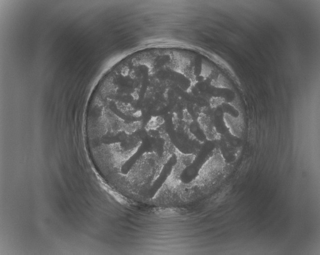 X0000080671231200701051000