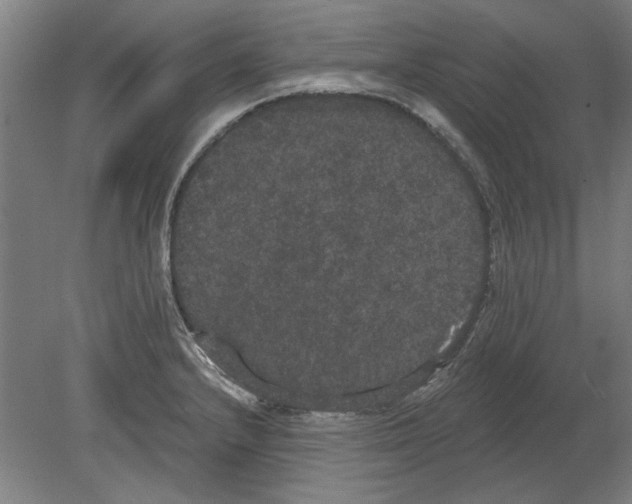 X0000080671232200701051000