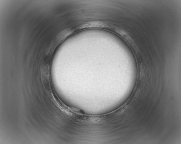 X0000080671233200701051000