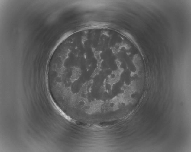 X0000080671235200701051000