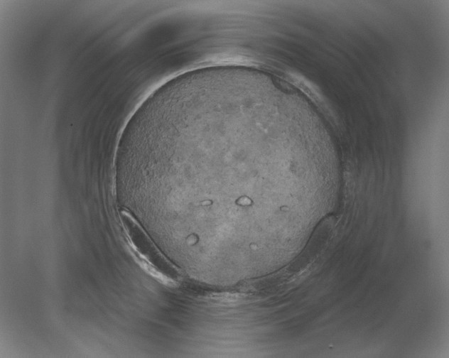 X0000080671236200701051000