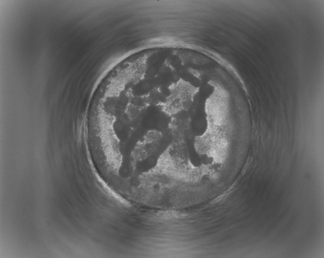 X0000080671239200701051000