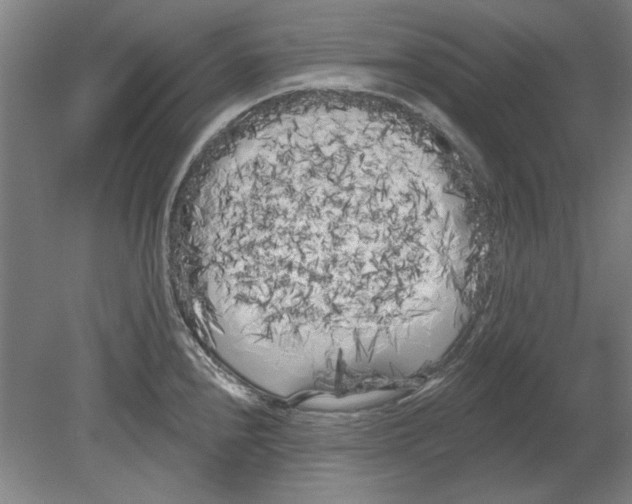 X0000080671240200701051000