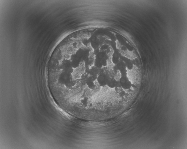 X0000080671243200701051000