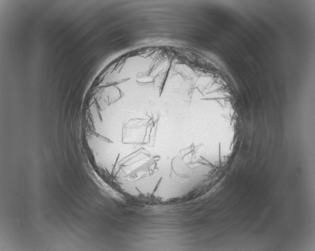 X0000080671244200701051000