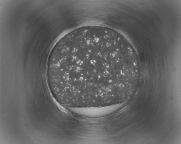 X0000080671245200701051000