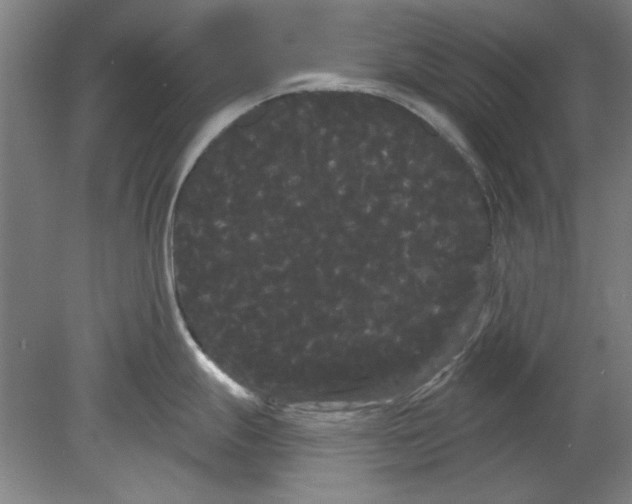 X0000080671247200701051000