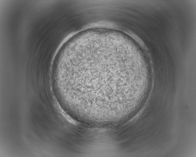 X0000080671248200701051000