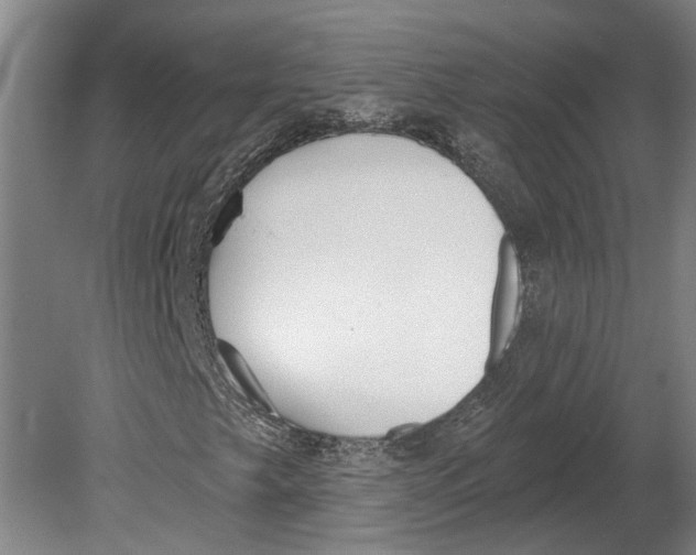 X0000080671249200701050959