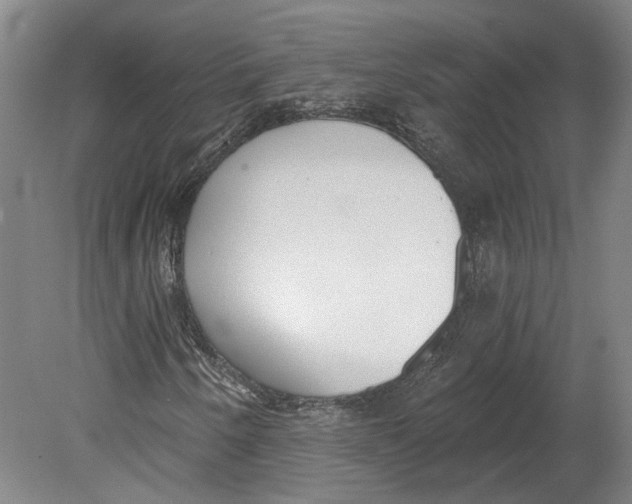 X0000080671250200701050959