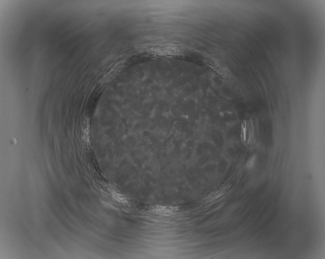 X0000080671251200701050959