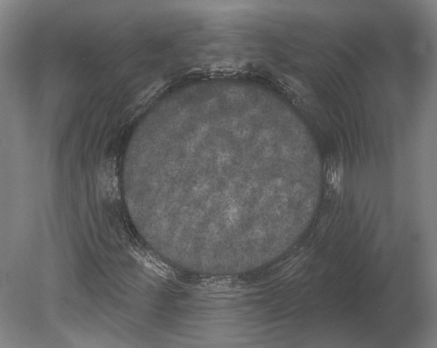 X0000080671252200701050959