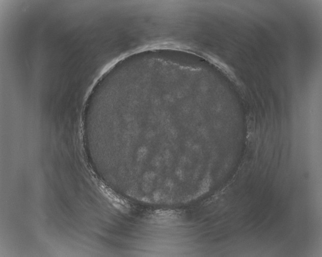 X0000080671264200701050959