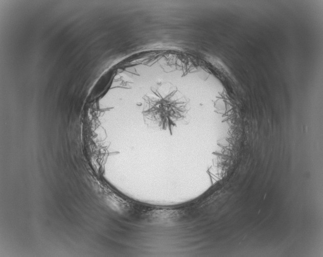 X0000080671268200701050959