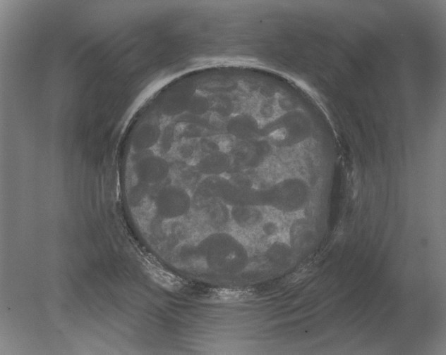 X0000080671271200701050959