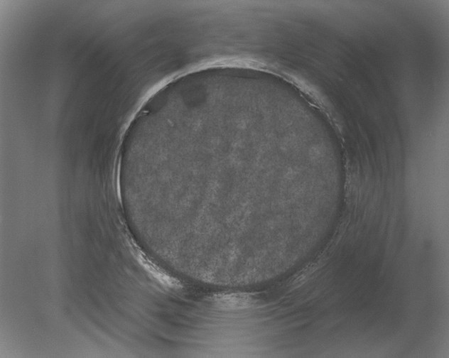 X0000080671272200701050959