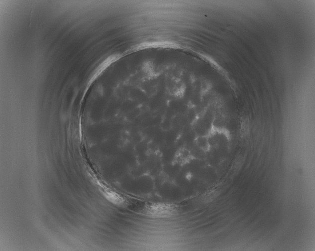 X0000080671274200701050959