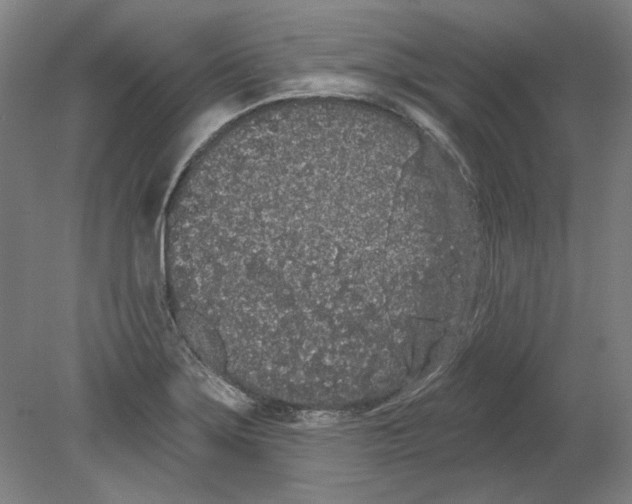 X0000080671275200701050959