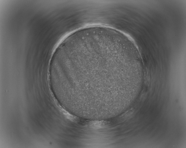 X0000080671279200701050959