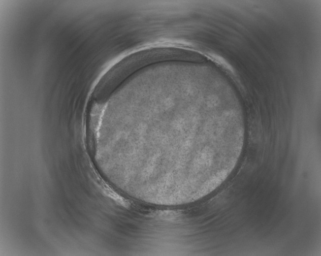 X0000080671280200701050959