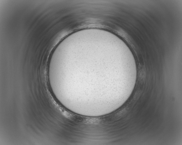 X0000080671282200701050959