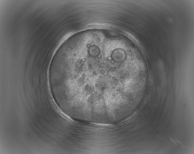 X0000080671283200701050959