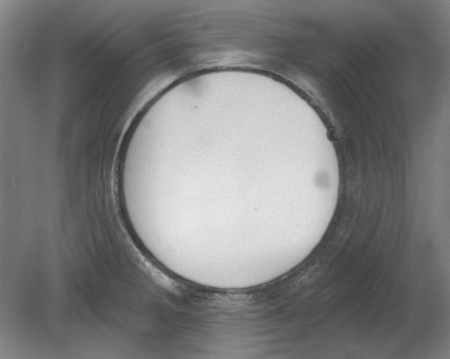 X0000080671285200701050959