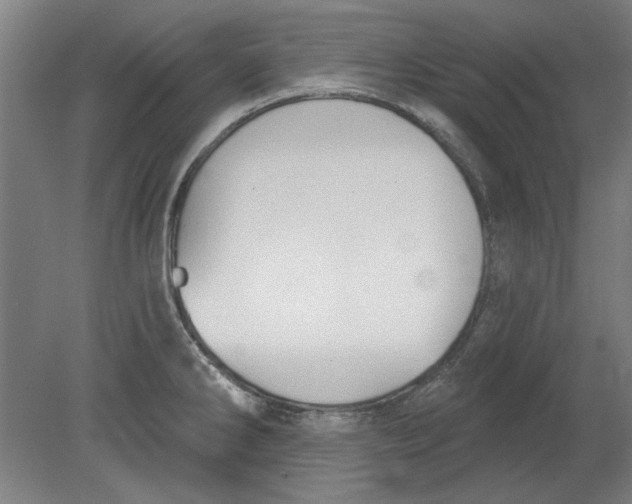 X0000080671286200701050959