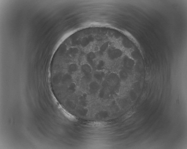 X0000080671287200701050959