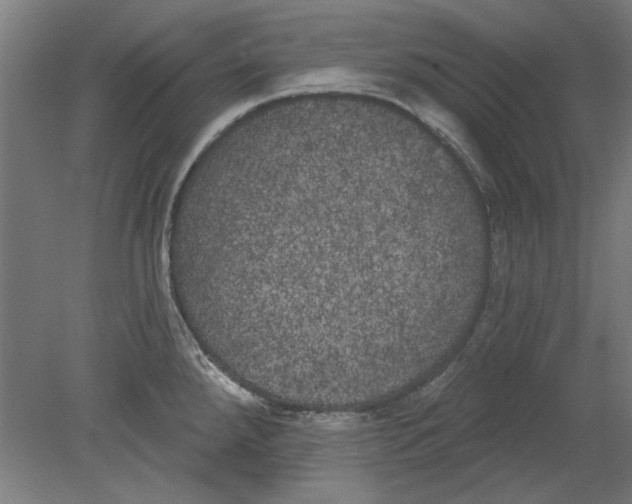 X0000080671288200701050959