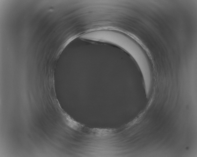 X0000080671289200701050959