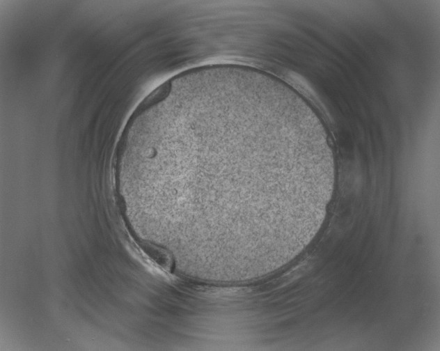 X0000080671292200701050959