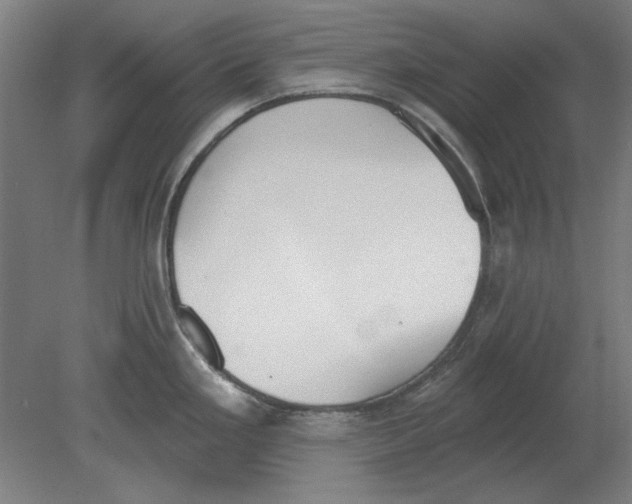 X0000080671293200701050959