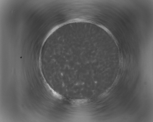 X0000080671294200701050959