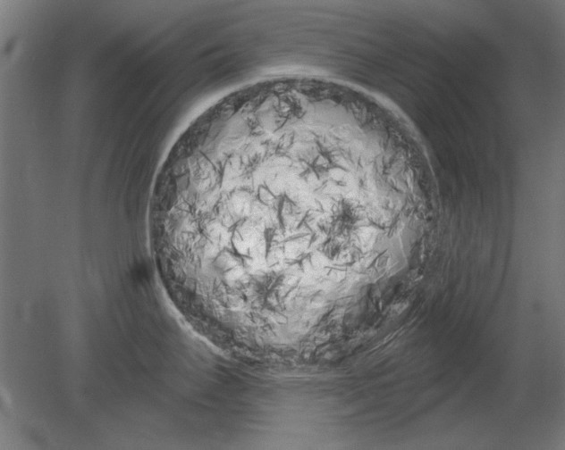 X0000080671295200701050959