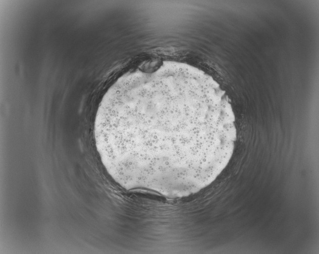 X0000080671297200701050958