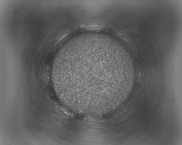 X0000080671301200701050958