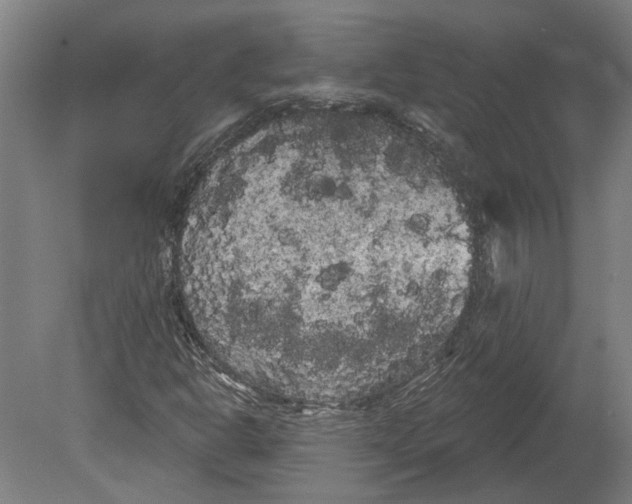 X0000080671302200701050958