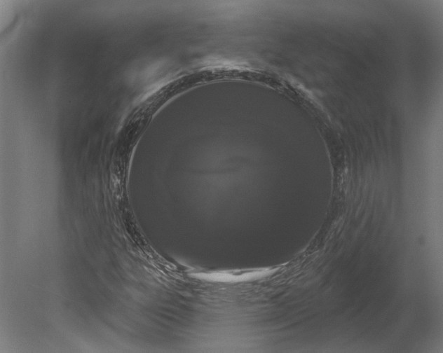 X0000080671303200701050958