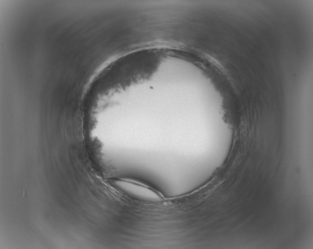 X0000080671310200701050958