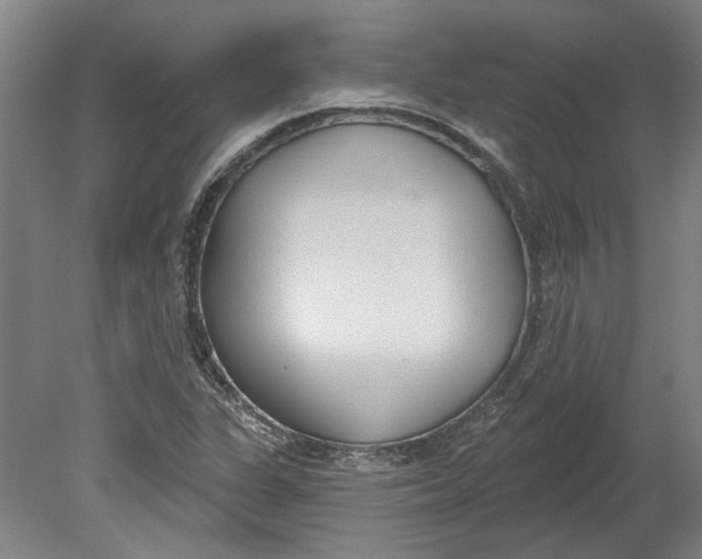 X0000080671311200701050958