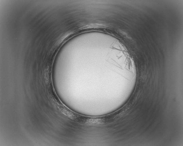 X0000080671313200701050958