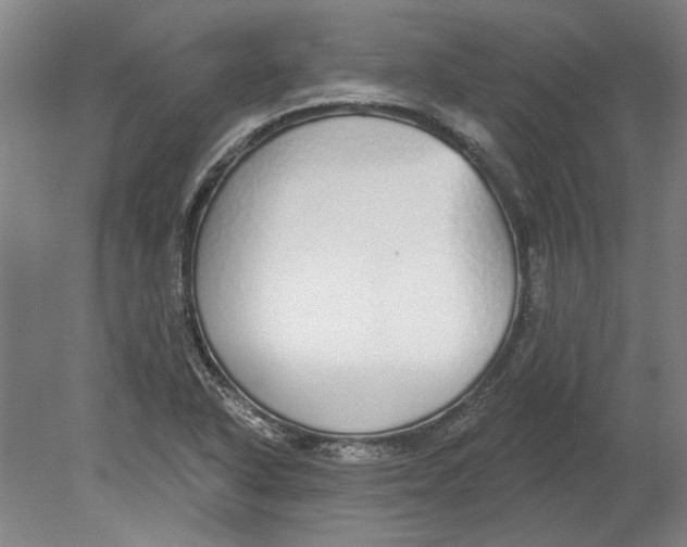 X0000080671318200701050958