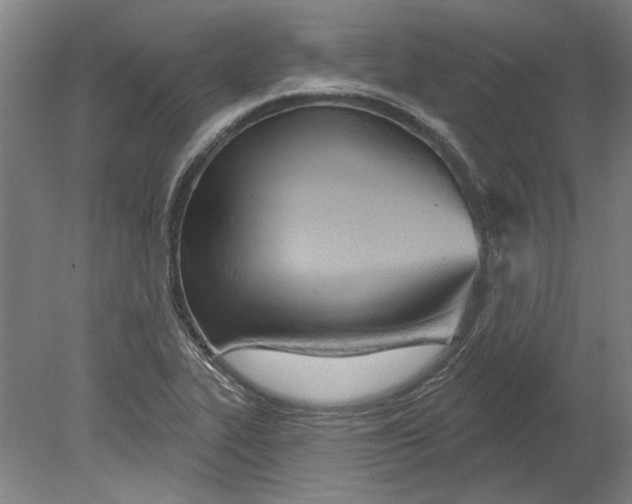 X0000080671319200701050958