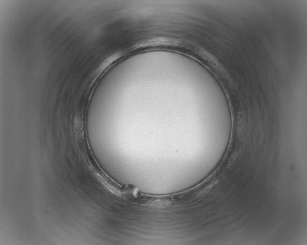 X0000080671321200701050958