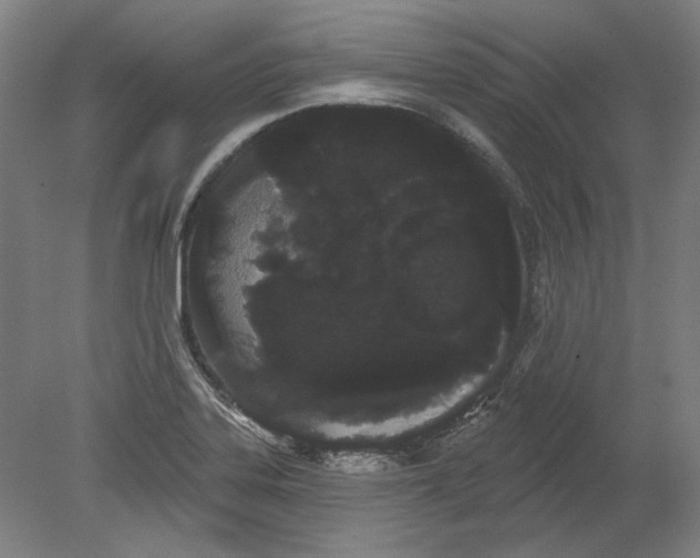 X0000080671323200701050958