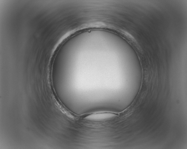 X0000080671326200701050958