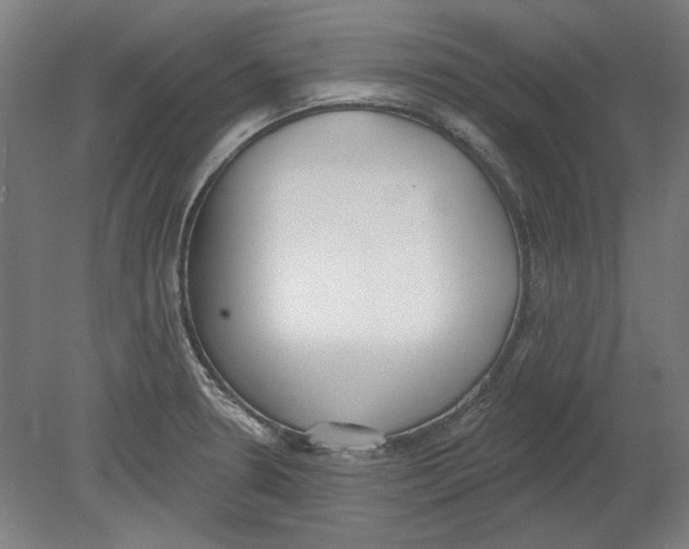 X0000080671330200701050958